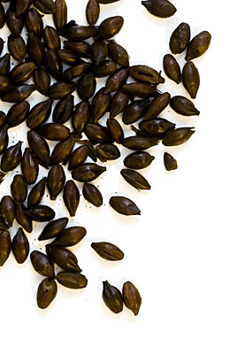 Carafa Special (R) typ II 1100-1200 EBC Weyermann 5 kg