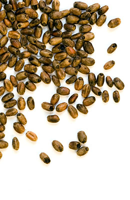 Pszeniczny Carawheat (R) 110-140 EBC Weyermann 1 kg
