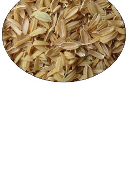 Łuska ryżowa sterylizowana 0,1 kg