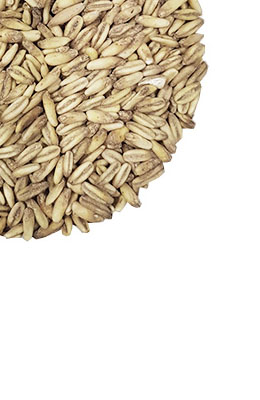 Owsiany 3,5-7 EBC Viking Malt 1 kg