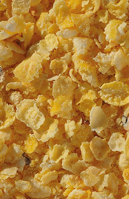 Płatki kukurydziane błyskawiczne Crisp 0,45 kg