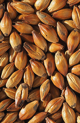 Crystal Dark 420-480 EBC Crisp 0,2 kg