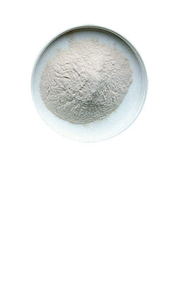 Ekstrakt słodowy pszeniczny sproszkowany Bruntal 0,2 kg