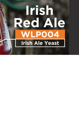 White Labs Irish Red Ale 12º BLG