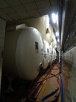 Click image for larger version

Name:	DSC01671.jpg
Views:	44
Size:	88,1 KB
ID:	2349062