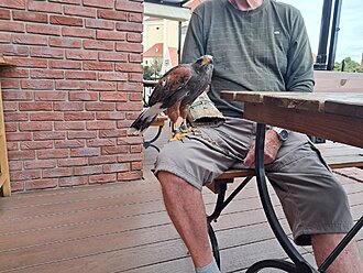 Click image for larger version

Name:	20250823_163455.jpg
Views:	0
Size:	261,8 KB
ID:	2352223