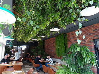 Click image for larger version

Name:	DSC00273.jpg
Views:	21
Size:	197,9 KB
ID:	2354839