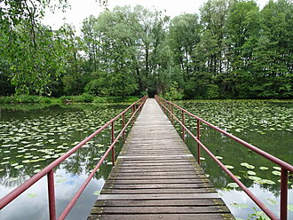 Click image for larger version

Name:	DSC00443.jpg
Views:	18
Size:	217,1 KB
ID:	2356979