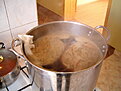 chmieleniw warka 11.jpg