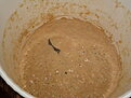 ferm 13.jpg