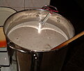 zacier pszen 48c.jpg