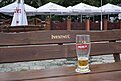 IMG_7704.jpg